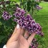 ellegarcia883